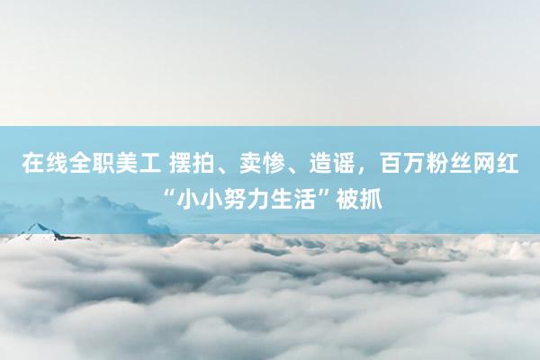 在线全职美工 摆拍、卖惨、造谣，百万粉丝网红“小小努力生活”被抓