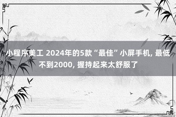 小程序美工 2024年的5款“最佳”小屏手机, 最低不到2000, 握持起来太舒服了